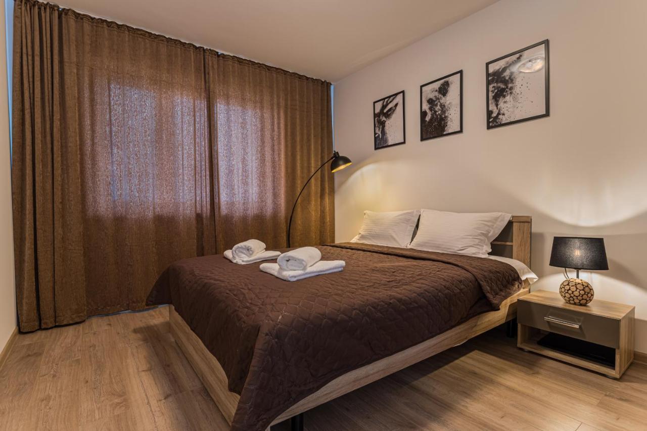 Coresi Modern Apartment براشوف المظهر الخارجي الصورة