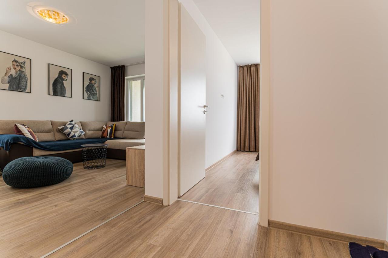 Coresi Modern Apartment براشوف المظهر الخارجي الصورة