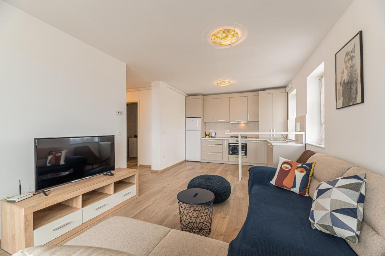Coresi Modern Apartment براشوف المظهر الخارجي الصورة